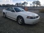 FORD - MUSTANG