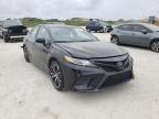 TOYOTA - CAMRY