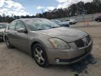 NISSAN - MAXIMA