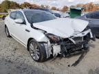 KIA - OPTIMA
