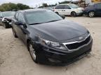 KIA - OPTIMA