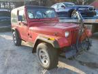 JEEP - WRANGLER