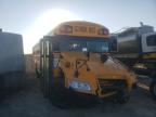 usados BLUEBIRD SCHOOL BUS