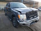 FORD - F-150