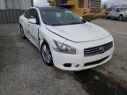 NISSAN - MAXIMA