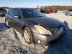 NISSAN - MAXIMA