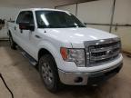 FORD - F-150
