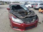 NISSAN - ALTIMA