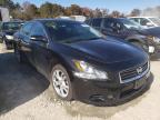 NISSAN - MAXIMA
