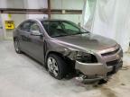 CHEVROLET - MALIBU