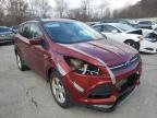 FORD - ESCAPE