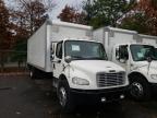 FREIGHTLINER - M2 106 MEDIUM