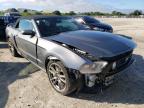 FORD - MUSTANG