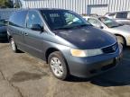 HONDA - ODYSSEY