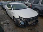 KIA - OPTIMA