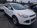 FORD - ESCAPE