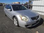 NISSAN - MAXIMA