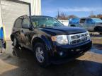 FORD - ESCAPE