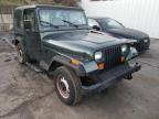 JEEP - WRANGLER
