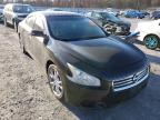 NISSAN - MAXIMA