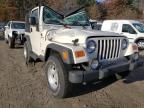 JEEP - WRANGLER