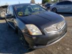 NISSAN - SENTRA