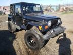 JEEP - WRANGLER