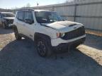 JEEP - RENEGADE