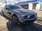 FORD - MUSTANG