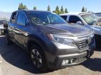 HONDA - RIDGELINE