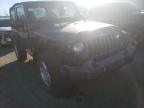 JEEP - WRANGLER