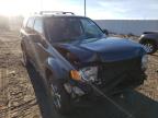 FORD - ESCAPE