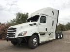 FREIGHTLINER - CASCADIA 1