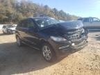 MERCEDES-BENZ - M-CLASS
