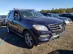 MERCEDES-BENZ - M-CLASS
