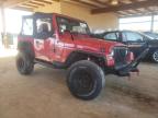 JEEP - WRANGLER