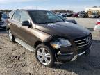 MERCEDES-BENZ - M-CLASS