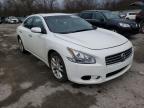 NISSAN - MAXIMA