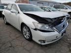 LEXUS - ES350