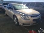 CHEVROLET - MALIBU