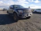 FORD - F-150
