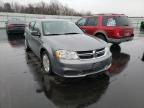 DODGE - AVENGER