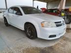 DODGE - AVENGER