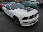 FORD - MUSTANG