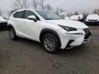 LEXUS - NX