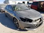 NISSAN - MAXIMA