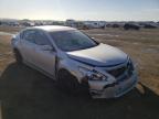 NISSAN - ALTIMA