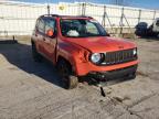 JEEP - RENEGADE