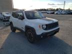 JEEP - RENEGADE