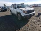 JEEP - RENEGADE